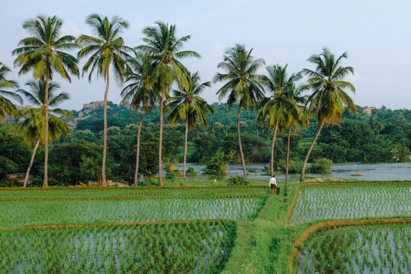 Tamil Nadu Agriculture University Signs MoU with Ukrainian University