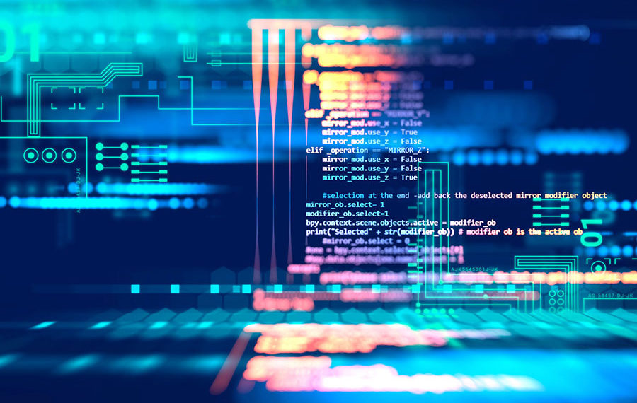 US court allows H-1B visas for computer programmers