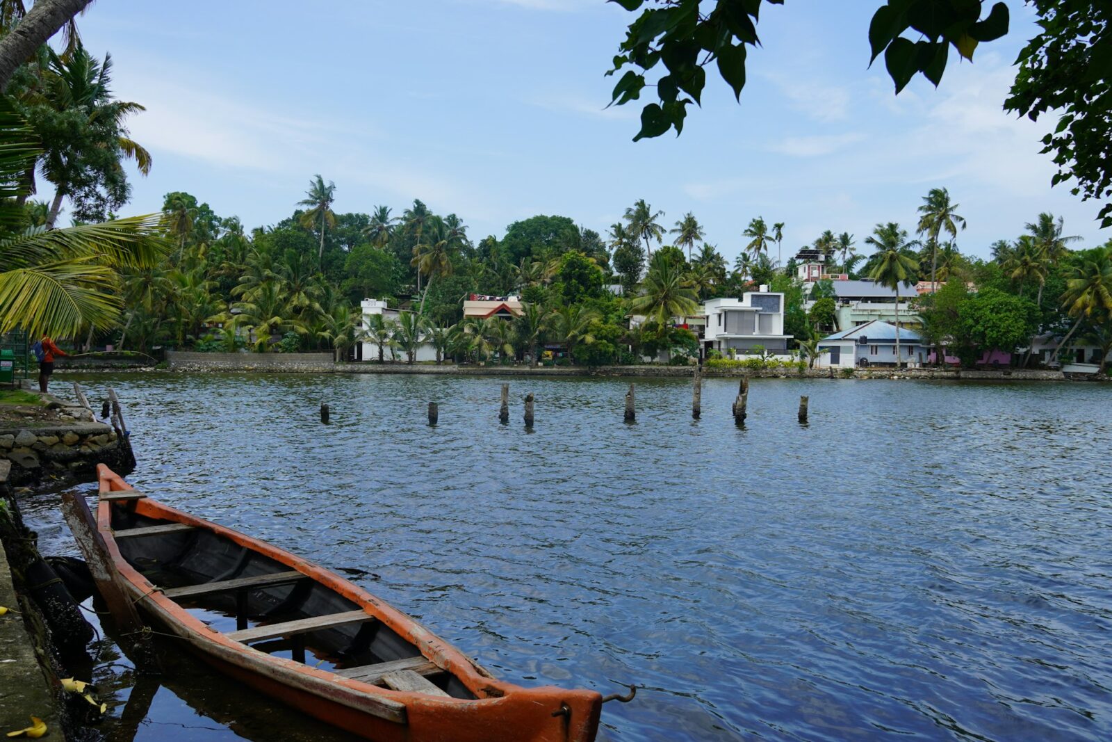 Another success story for Kerela as marginalised sections register higher literacy rate A wooden canoe moored on calm backwaters with palm trees and village homes beyond