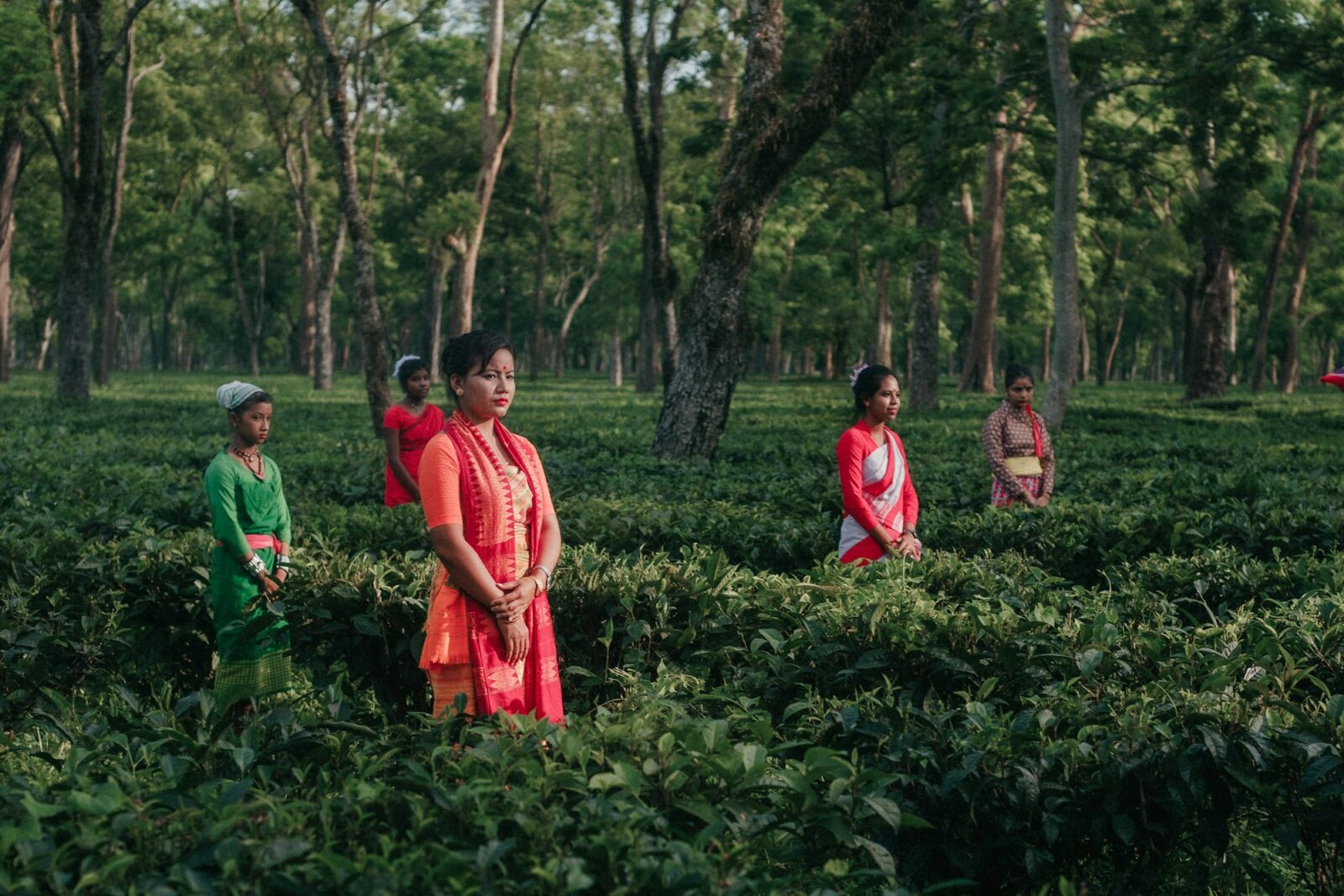 People in red and green clothing walking across a green field in Assam