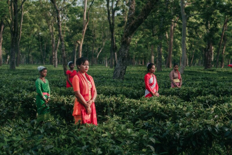 Assam all set to come up with Skill University