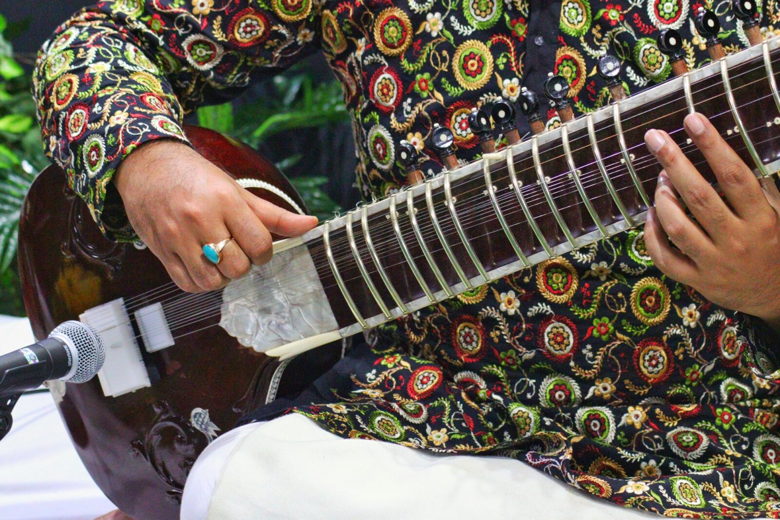 Why music is pursued as a hobby and not career? A musician in a colourful shirt playing the sitar