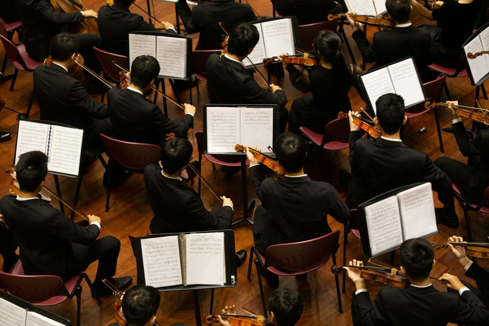 A group of musicians playing violins together in an orchestra