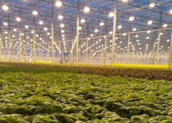 Opportunities in the Agrotech Sector: 4 Certification Courses Opportunities in the Agrotech Sector: 4 Certification Courses