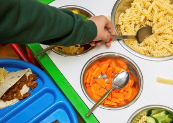 school meals, hunger