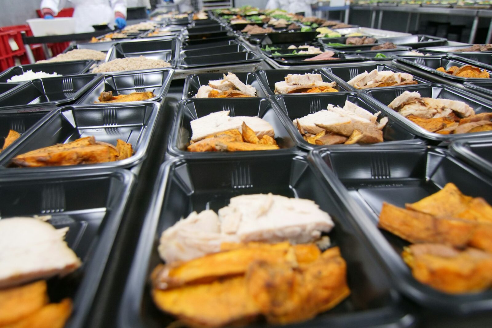 Food poverty: growing percentage of English children eligible for free school lunches Row of trays filled with portions of different foods