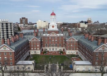 The Harvard online degree programme: all you need to know The Harvard online degree programme